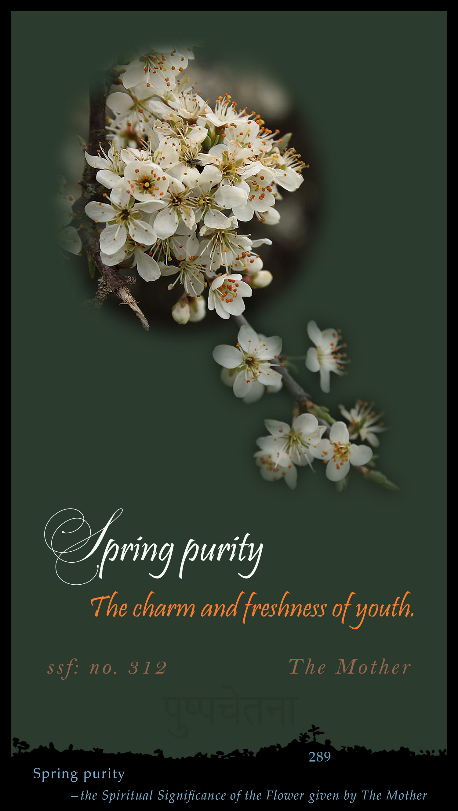 Spring Purity